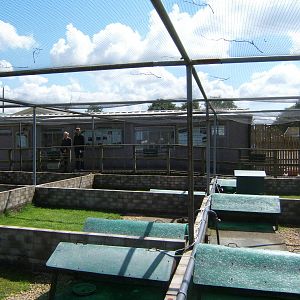 View of rearing pens