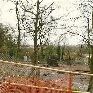 New Chimpanzee exhibit under construction 4th April 1998
