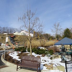 Grizzly Ridge Construction 2013.02.10