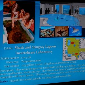 Shark and Stingray Lagoon