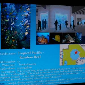 Tropical Pacific Rainbow reef