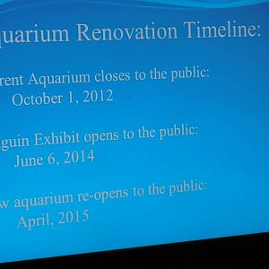 Aquarium renovation timeline