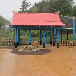 Renovated Sumatran Tiger Exhibit - Wellington Zoo 2013