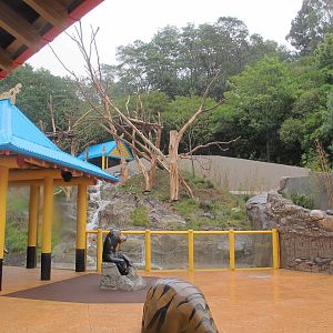 Main Sun Bear Exhibit - Wellington Zoo 2013