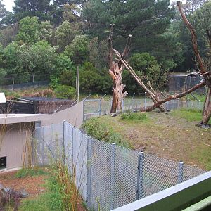 House and Secondary Sun Bear Exhibit - Wellington Zoo 2013