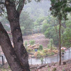 Site of future Australian Walkthrough - Wellington Zoo 2013