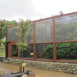 Squirrel Monkey and Cotton-top Tamarin Exhibits - Wellington Zoo 2013