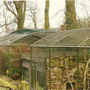 Cat cages 6th April 1998