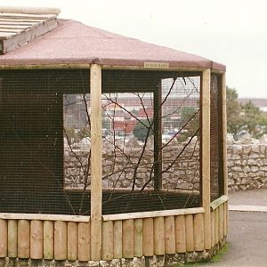 Children's Corner 19th September 1998