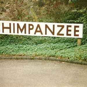 Indicating the way to the viewing area 19th September 1998