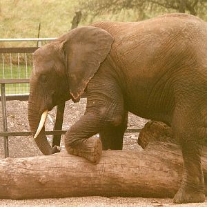 Flora 19th September 1998