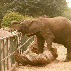 Flora 19th September 1998