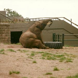 Flora 19th September 1998