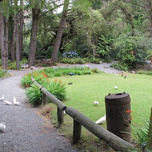 Entry Lawn - Staglands 2013