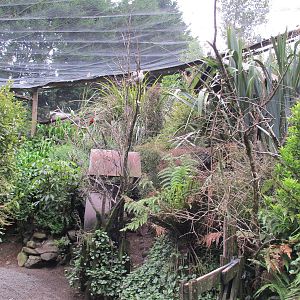 Toe Toe Aviary - Staglands 2013