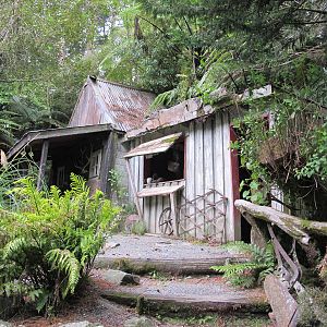 Old Bush Settlement Building - Staglands 2013