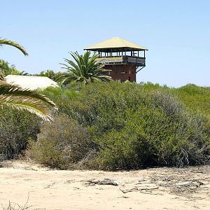 Whale viewing tower from outside the park