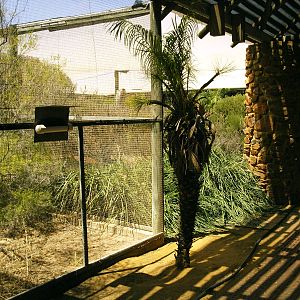 Walkthrough aviary