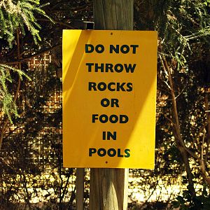 Walkthrough aviary signage