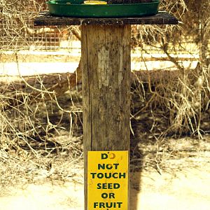 Walkthrough aviary signage and feeding station