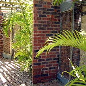 Parrot aviaries