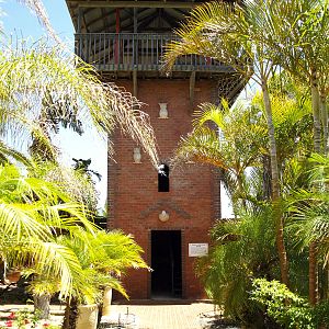 Whale watching tower from inside Rainbow Jungle
