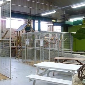 Parrot cages