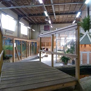 Cockatoos, small birds, Prairiedogs (back)