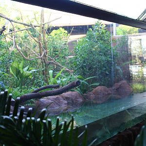 Mekong River - Crab-eating Macaque exhibit