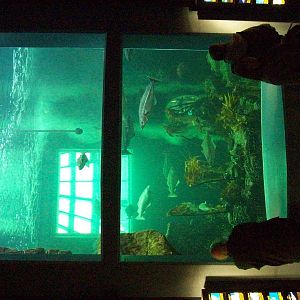 Macduff aquarium