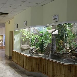 The interior of the reptiles pavilion