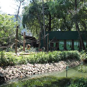 Orangutan Enclosure - February 2013