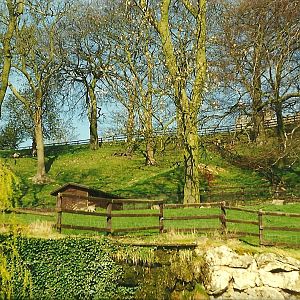 Above the Flamingo Pool 2nd April 1999