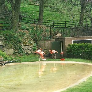 Flamingo Pool 2nd April 1999