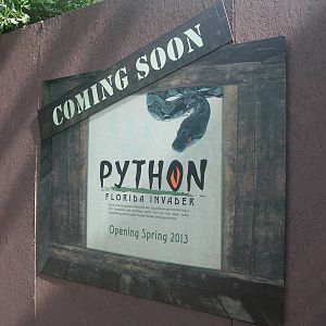 New Python Exhibit opening in Wetlands