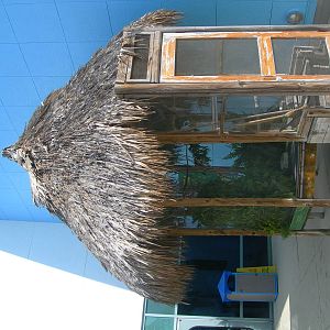 Outside bird Exhibit