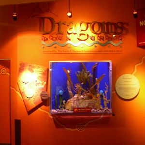 Dragons Down Under Entrace