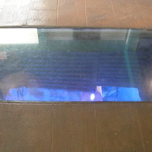 window look in above the reef exhibit