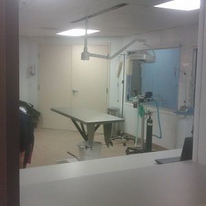 Animal Hospital/Care Center