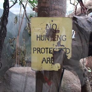 NO HUNTING, PROTECTED AREA
