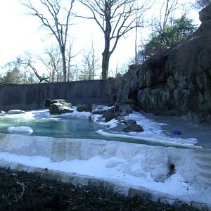 Horrible Polar Bear Exhibit