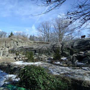 Great Grizzly Bear Exhibit