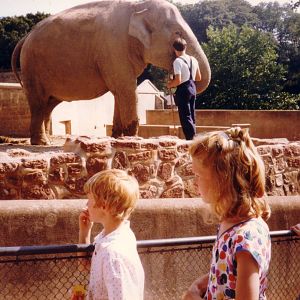 Old Elephant enclosure, August 1989