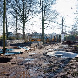 Peacock/Stork Aviary Development - 17/02/2013