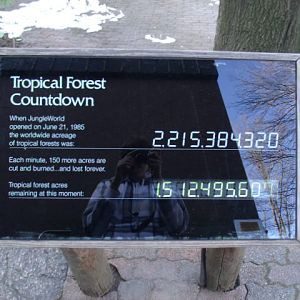 Tropical Forest Coutdown