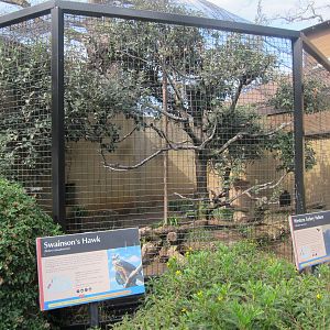 Bird of Prey Aviary