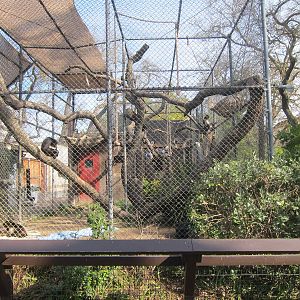 Side Veiw of Spider Monkey Enclosure
