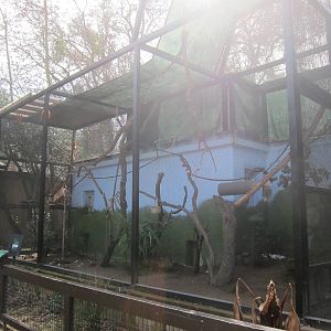 Second Golden Lion Tamarin Exhibit