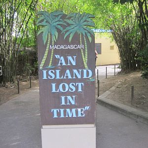 Island Lost in Time