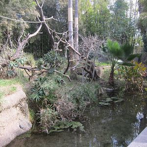 Lemur Island Exhibit